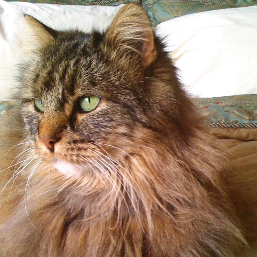 Meet your Posher, Brooke